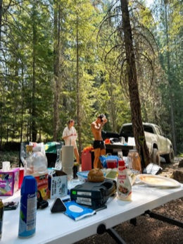 Weekend campsite in the woods